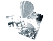 websites for hospitality and tourism